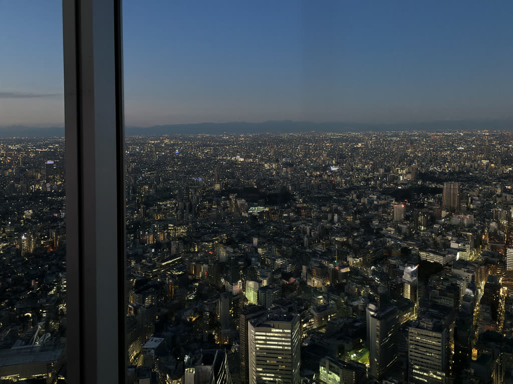 Una noche en Shinjuku: callejones yokocho, Golden Gai y vistas gratuitas de la ciudad