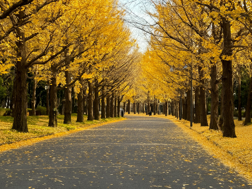 Olvídate de los influencers: 12 lugares de hojas de otoño e iluminaciones en Tokio que una IA eligió entre 37 publicaciones de viajeros guardadas 32.041 veces