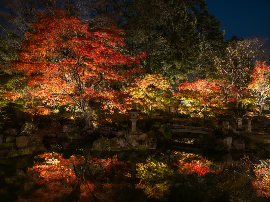 6. Rikugien – Smetti di seguire gli influencer: 12 posti per foliage e luminarie a Tokyo scelti dall'AI tra 37 post di viaggiatori salvati 32.041 volte