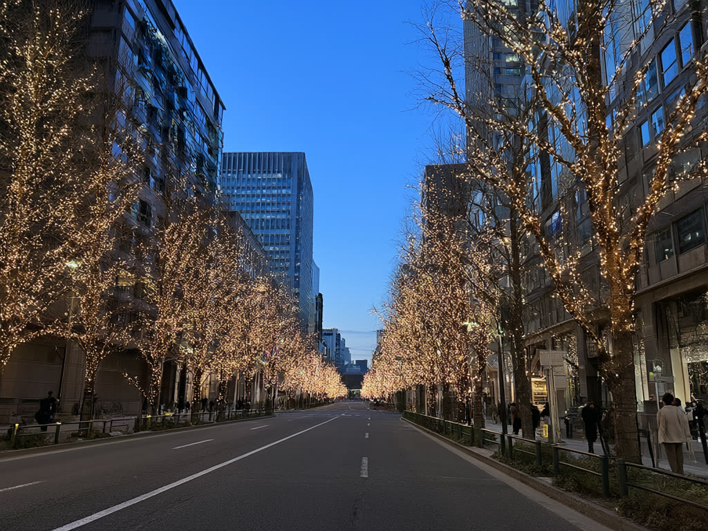 Tokyo in inverno: luminarie, mercatini di Natale, Capodanno e la prima visita al santuario